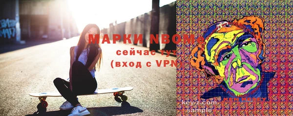 apvp Инсар