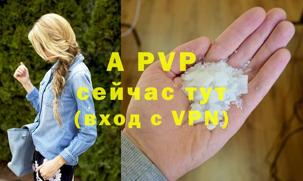 apvp Инсар