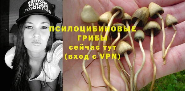 apvp Инсар