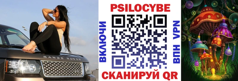 Купить закладки  Мензелинск  Псилоцибиновые грибы Cubensis 
